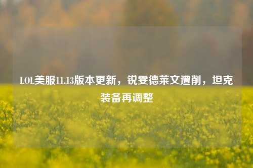 LOL美服11.13版本更新，锐雯德莱文遭削，坦克装备再调整