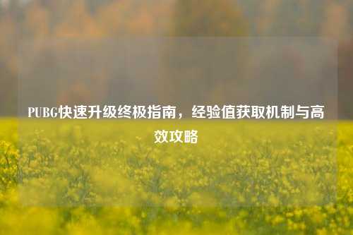 PUBG快速升级终极指南，经验值获取机制与高效攻略
