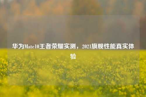 华为Mate10王者荣耀实测，2021旗舰性能真实体验