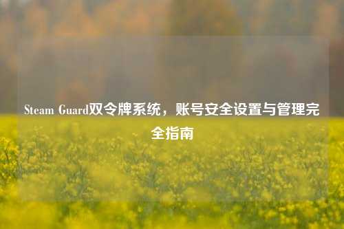 Steam Guard双令牌系统，账号安全设置与管理完全指南