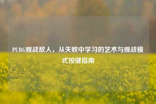PUBG观战敌人，从失败中学习的艺术与观战模式按键指南