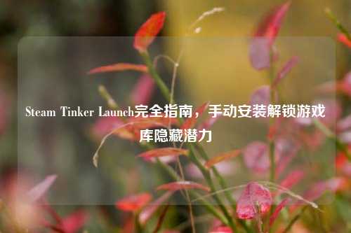 Steam Tinker Launch完全指南,手动安装解锁游戏库隐藏潜力
