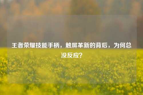 王者荣耀技能手柄，触屏革新的背后，为何总没反应？