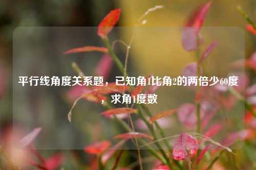 平行线角度关系题，已知角1比角2的两倍少60度，求角1度数