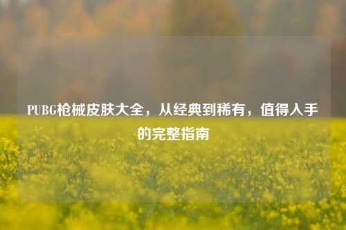 PUBG枪械皮肤大全，从经典到稀有，值得入手的完整指南