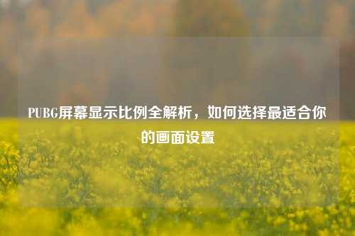 PUBG屏幕显示比例全解析，如何选择最适合你的画面设置
