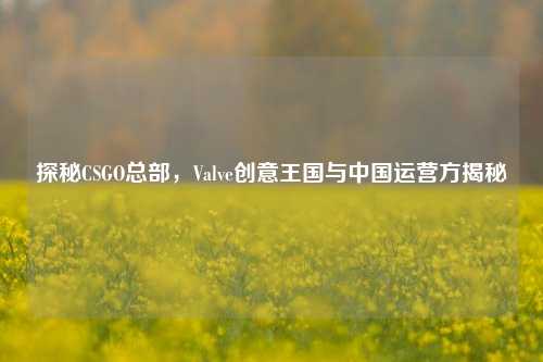 探秘CSGO总部，Valve创意王国与中国运营方揭秘