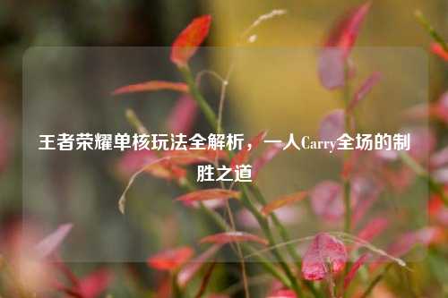 王者荣耀单核玩法全解析，一人Carry全场的制胜之道