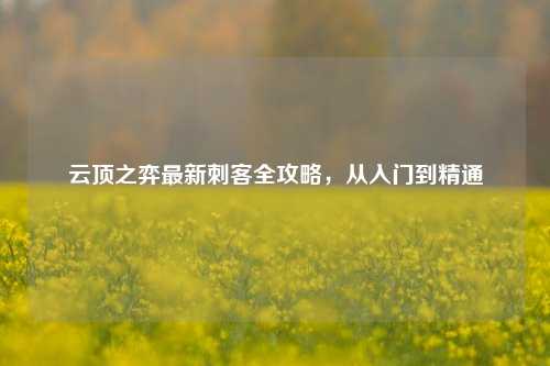 云顶之弈最新刺客全攻略，从入门到精通