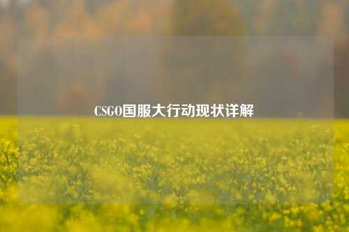 CSGO国服大行动现状详解