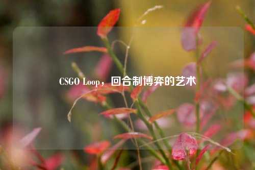 CSGO Loop，回合制博弈的艺术