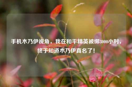 手机木乃伊视角，我在和平精英被绑3000小时，终于知道木乃伊真名了！