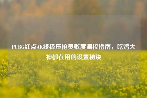 PUBG红点AK终极压枪灵敏度调校指南，吃鸡大神都在用的设置秘诀