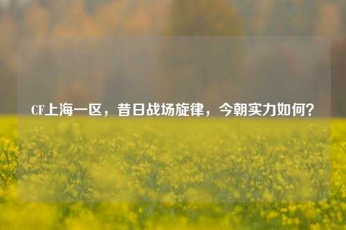 CF上海一区，昔日战场旋律，今朝实力如何？