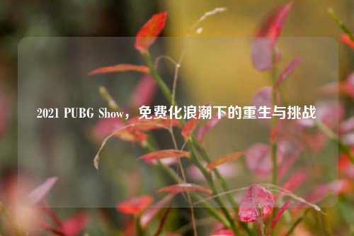2021 PUBG Show，免费化浪潮下的重生与挑战