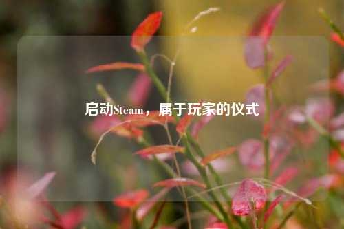 启动Steam，属于玩家的仪式