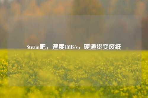 Steam吧，速度1MB/s，硬通货变废纸