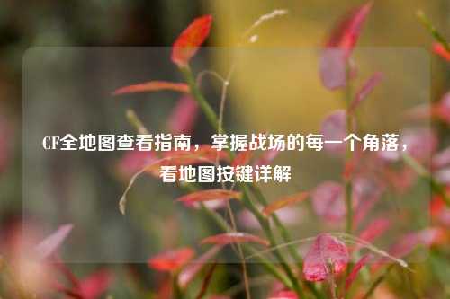 CF全地图查看指南，掌握战场的每一个角落，看地图按键详解