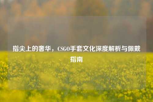 指尖上的奢华，CSGO手套文化深度解析与佩戴指南