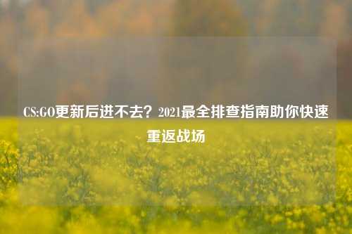 CS:GO更新后进不去？2021最全排查指南助你快速重返战场