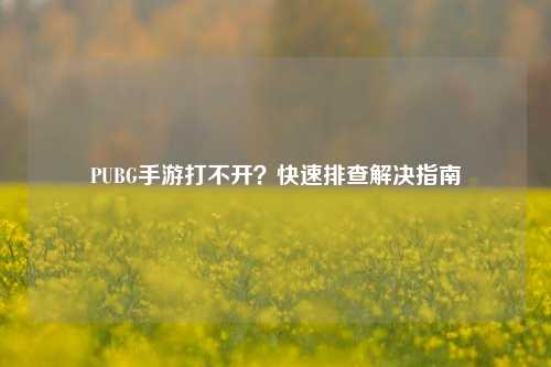 PUBG手游打不开？快速排查解决指南