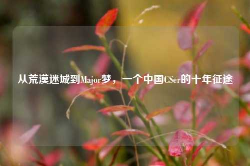 从荒漠迷城到Major梦，一个中国CSer的十年征途