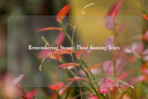 Remembering Steam: Those Gaming Years