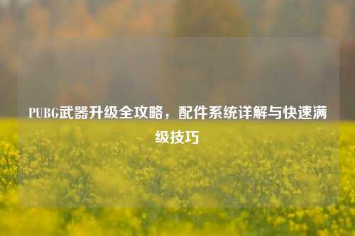 PUBG武器升级全攻略，配件系统详解与快速满级技巧