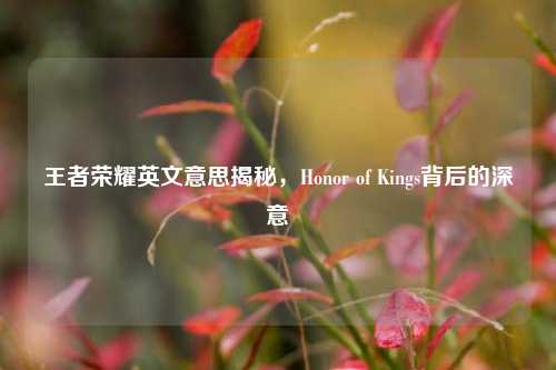 王者荣耀英文意思揭秘，Honor of Kings背后的深意