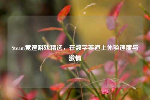 Steam竞速游戏精选，在数字赛道上体验速度与 *** 