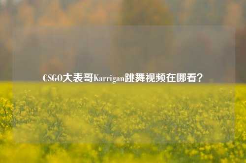CSGO大表哥Karrigan跳舞视频在哪看？
