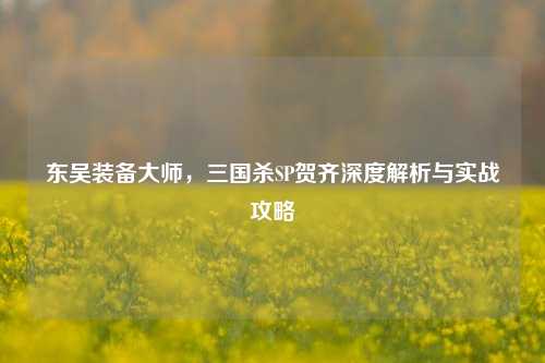 东吴装备大师，三国杀SP贺齐深度解析与实战攻略