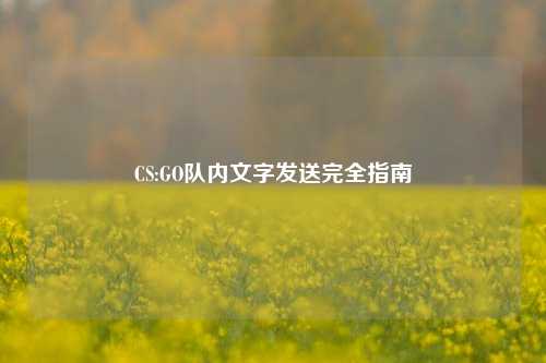 CS:GO队内文字发送完全指南