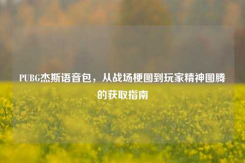 PUBG杰斯语音包，从战场梗图到玩家精神图腾的获取指南