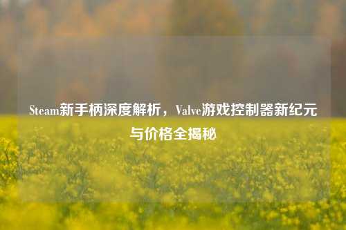 Steam新手柄深度解析，Valve游戏控制器新纪元与价格全揭秘