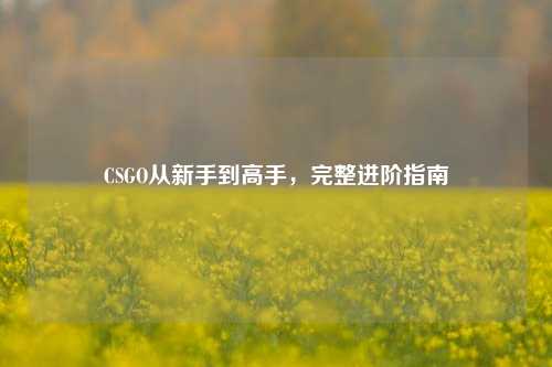 CSGO从新手到高手，完整进阶指南
