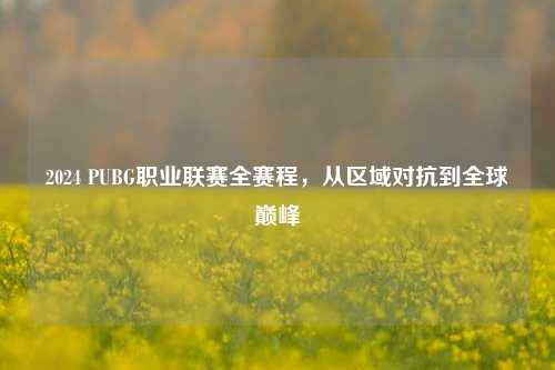 2024 PUBG职业联赛全赛程，从区域对抗到全球巅峰