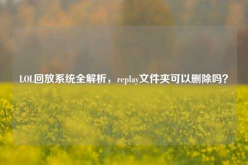 LOL回放系统全解析，replay文件夹可以删除吗？