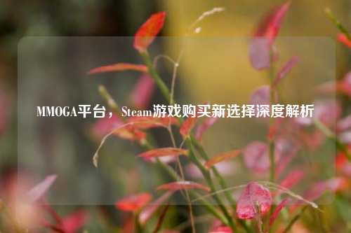 MMOGA平台，Steam游戏购买新选择深度解析