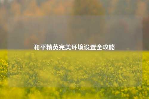 和平精英完美环境设置全攻略