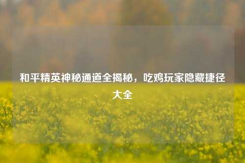 和平精英神秘通道全揭秘，吃鸡玩家隐藏捷径大全