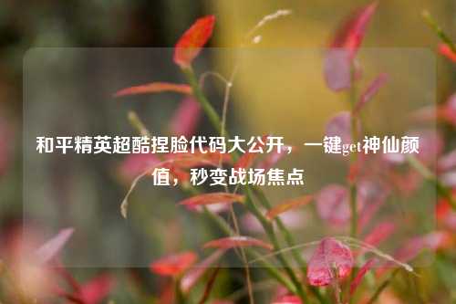 和平精英超酷捏脸代码大公开，一键get神仙颜值，秒变战场焦点