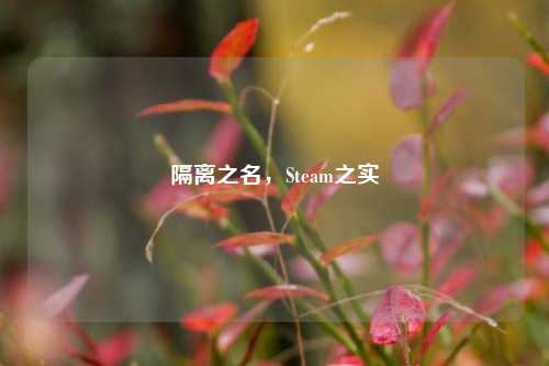 隔离之名，Steam之实