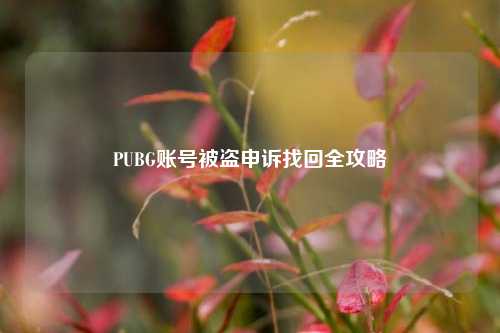PUBG账号被盗申诉找回全攻略