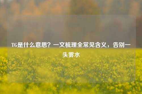 TG是什么意思？一文梳理全常见含义，告别一头雾水