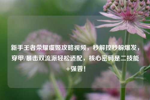 新手王者荣耀虞姬攻略视频，秒解控秒躲爆发，穿甲/暴击双流派轻松适配，核心密码是二技能+强普！