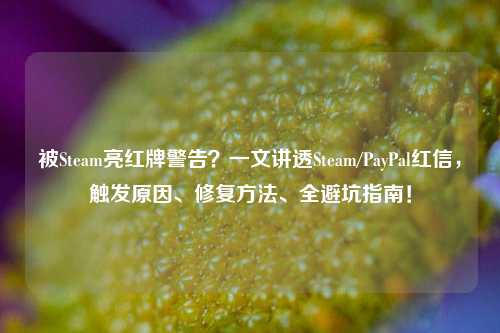 被Steam亮红牌警告？一文讲透Steam/PayPal红信，触发原因、修复 *** 、全避坑指南！