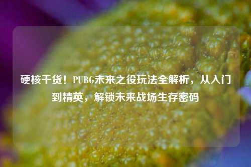 硬核干货！PUBG未来之役玩法全解析，从入门到精英，解锁未来战场生存密码