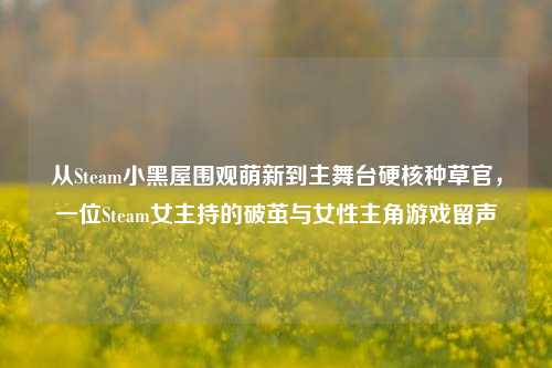 从Steam小黑屋围观萌新到主舞台硬核种草官，一位Steam女主持的破茧与女性主角游戏留声