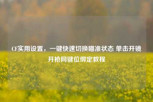 CF实用设置，一键快速切换瞄准状态 单击开镜开枪同键位绑定教程